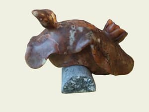 Een stenen verbeelding van een zee naaktslak. De steen is bruinrood met wit, oranje, geel, zwart doorregen. Hij heeft 2 uitsteeksels aan de voorkant van het hoofd en op de rug een soort van kroontje. Langs de zijkant van de slak hangt een soort flap alsof hij een dekentje over heeft. Hij kruipt over een stukje steen dat de vorm heeft van een stukje dood koraal.