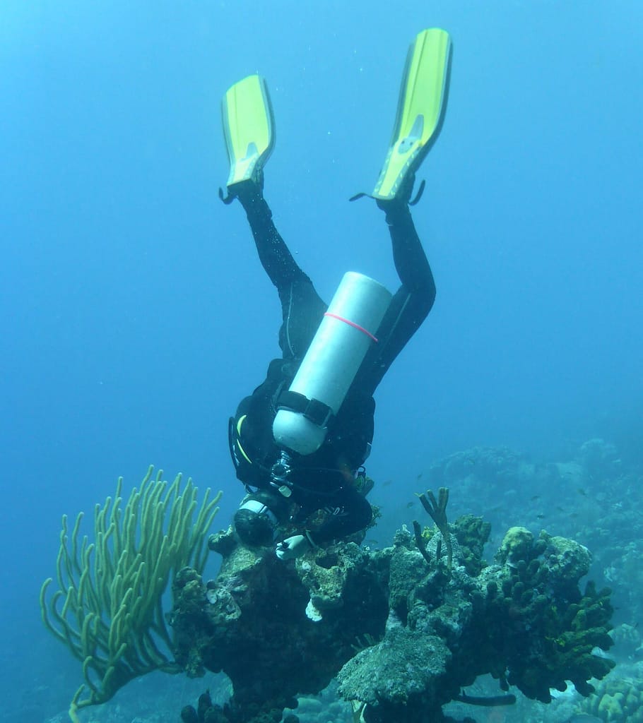 Ik hang in mijn duikkleding en luchtfles op de kop boven een stuk koraal met gorgonen en schijn met mijn lamp in kleine holtes op zoek naar zeediertjes.